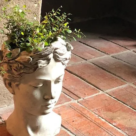 Au Coeur De Sainte Catherine