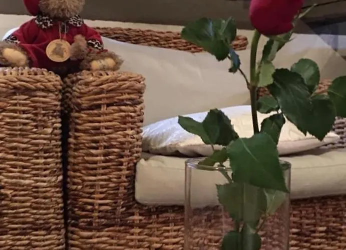 Au Coeur De Sainte Catherine Appartement